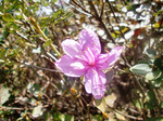 CIMG9640a.jpg