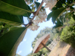 CIMG9646a.jpg