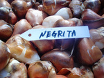 CIMG9673a.jpg