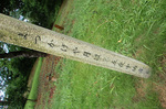 CIMG9810a.jpg