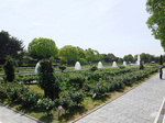 DSCF1152a.jpg
