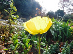 DSCF1456a.jpg