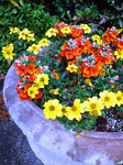 DSCF1467a.jpg