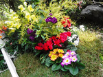 DSCF1474a.jpg