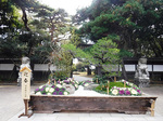 DSCF1645a.jpg