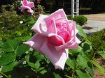 DSCF1751a.jpg