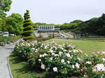 DSCF1871a.jpg