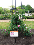 DSCF2851a.jpg