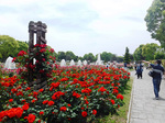 DSCF3775a.jpg