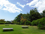 DSCF4728a.jpg