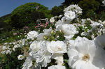 DSCF4793a.jpg
