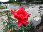 DSCF5264a.jpg