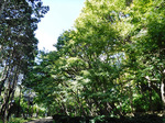 DSCF5459a.jpg