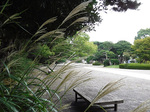 DSCF5515a.jpg