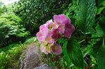 DSCF5869a.jpg