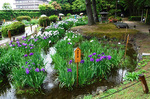 DSCF5885a.jpg
