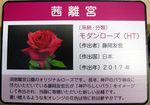 DSCF6047 - Rs[a.jpg