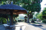 DSCF6449a.jpg
