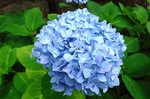 DSCF6543a.jpg