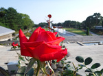 DSCF6596a.jpg