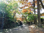 DSCF9512a.jpg