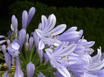 AKpTX150706a.jpg
