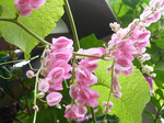 ATqJY150627a.jpg