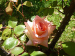 _CAiEvZXEIuEEF[Y150427a.jpg