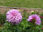 _A150706a.jpg