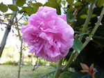 p[\YsN`Ci150422a.jpg