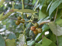 wN\JY141017a.jpg