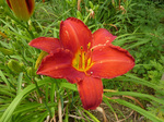 wJX (2)a.jpg