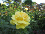 IMG_0279.jpg