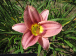 IMG_0477.jpg