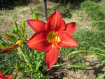 IMG_0479.jpg