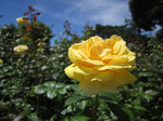 IMG_0517.jpg