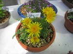 IMG_0639.jpg
