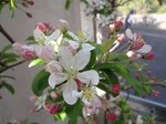 IMG_0671.jpg