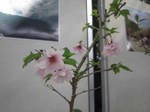 IMG_0673.jpg