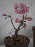 IMG_0682.jpg