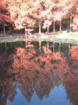 IMG_1021.jpg