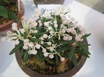 IMG_1508.jpg