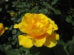 IMG_2992.jpg