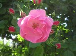 IMG_3011.jpg