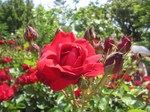IMG_3027.jpg