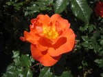 IMG_3029.jpg