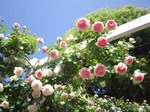 IMG_3057.jpg