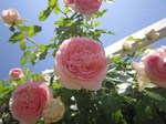 IMG_3064.jpg