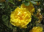 IMG_3084.jpg