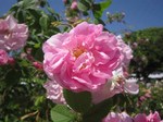 IMG_3088.jpg
